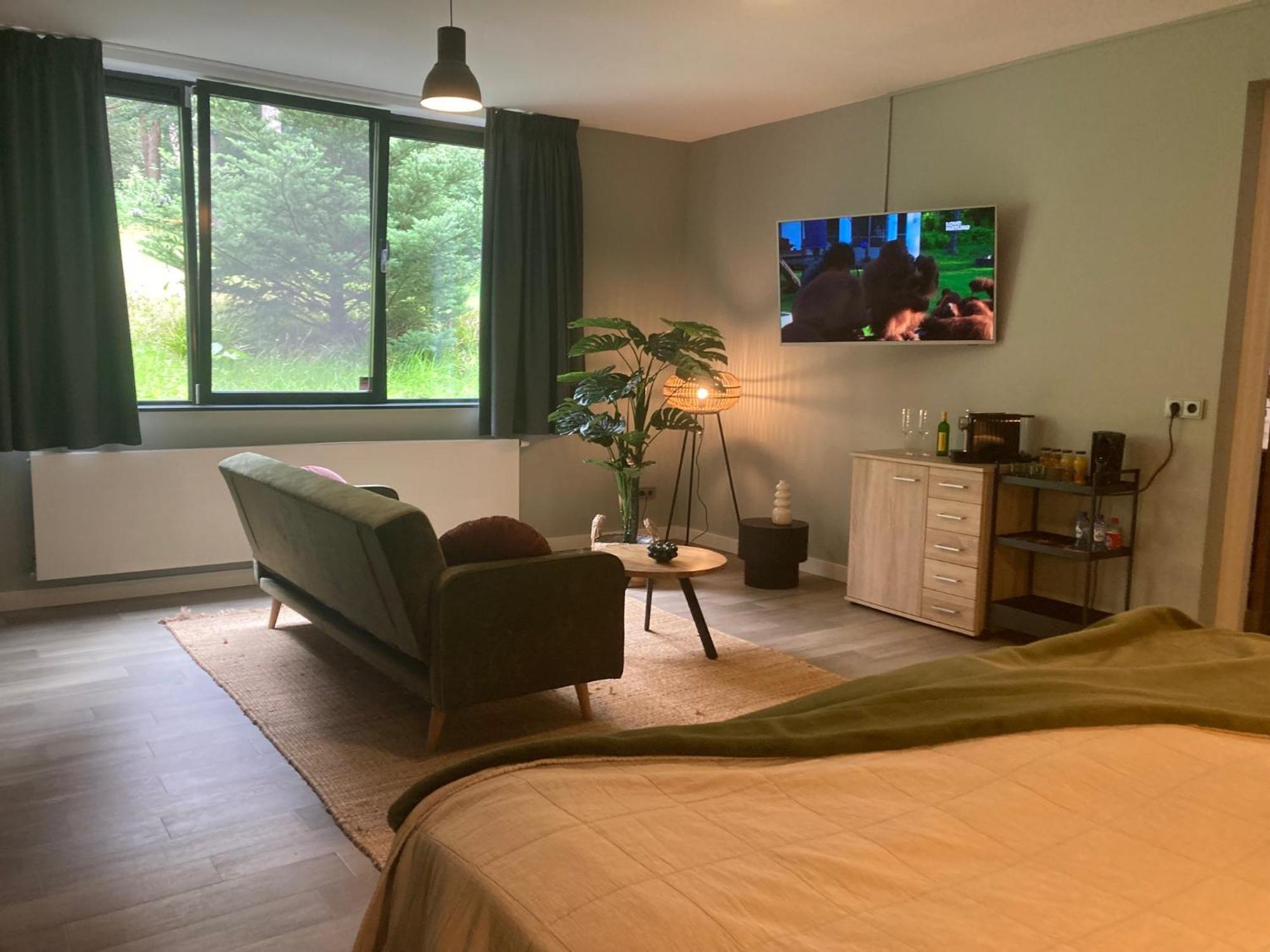 Habitación Superior con cama extragrande